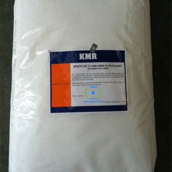 Polymer Anion